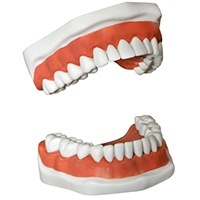 Chicago Dentures and Partial Dentures
